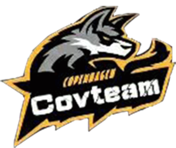 Covteam 网络安全实验室